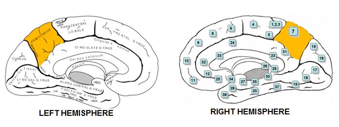 S1 -Fig06