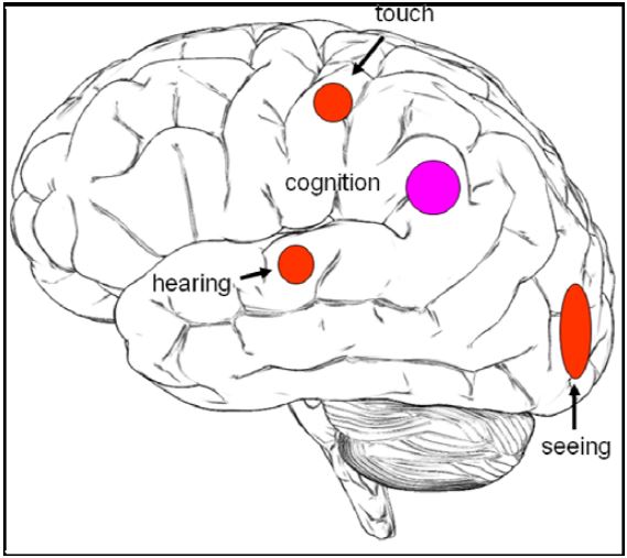 S2 -Fig01