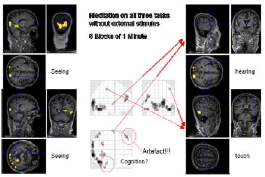 S2 -Fig13