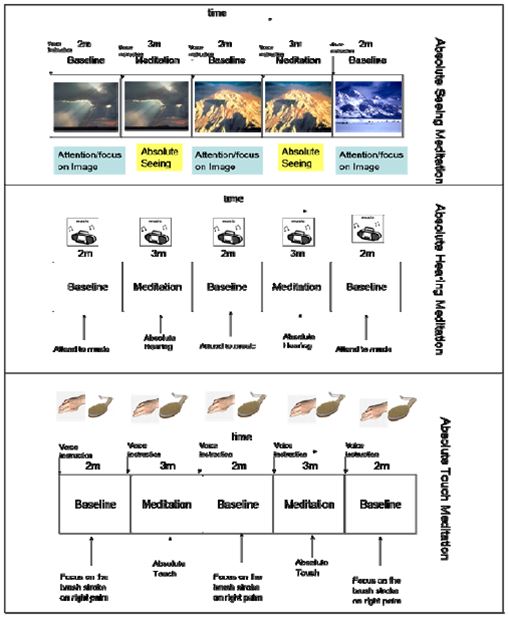 S3 -Fig1