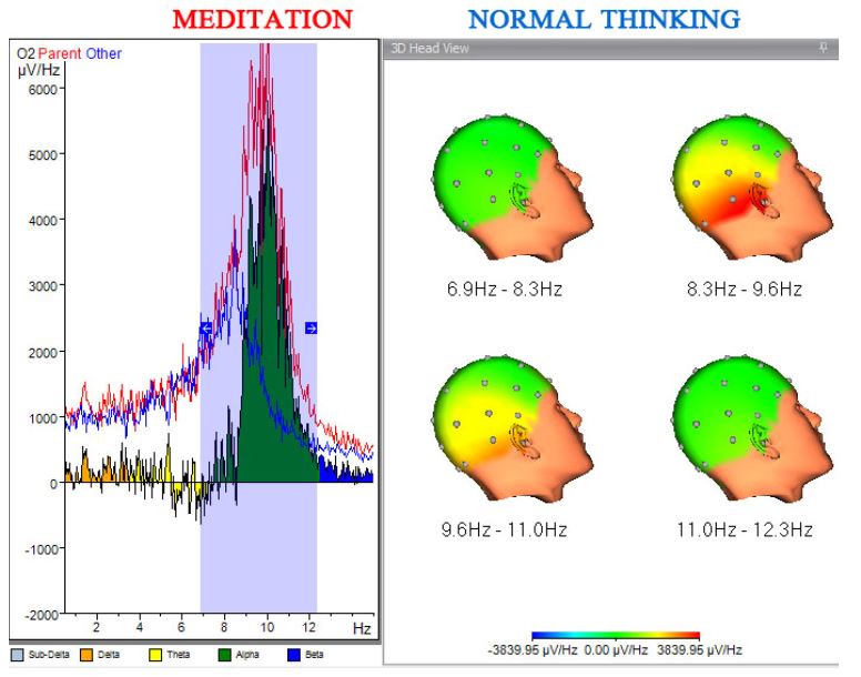 S4 -Fig6