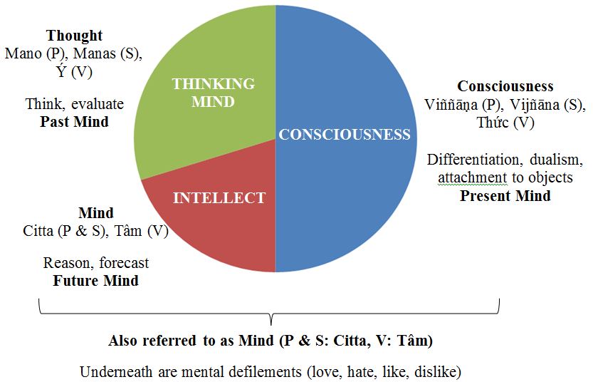 T1-2 -Fig2