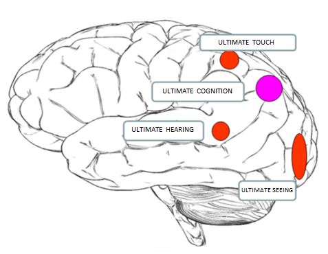 T1-2 -Fig3